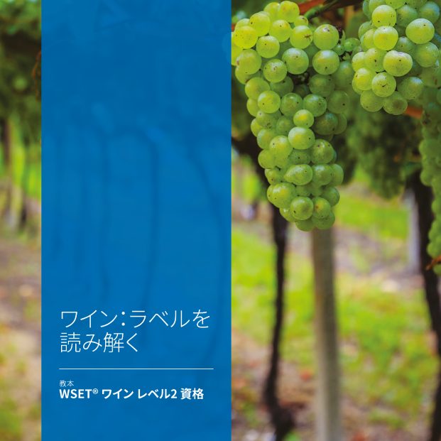 Level 2 Award in Wines: Looking behind the label (Issue 2)