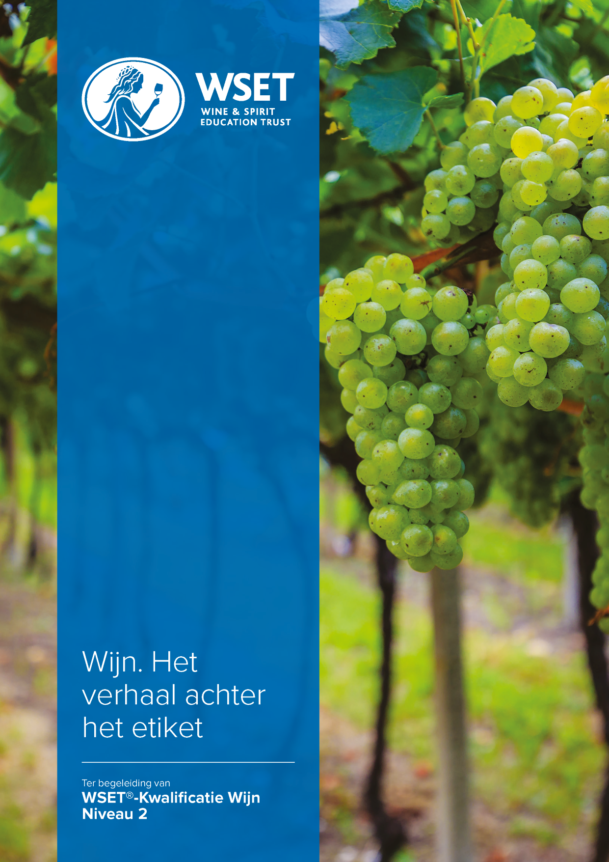 Level 2 Award in Wines: Looking behind the label (Issue 2)