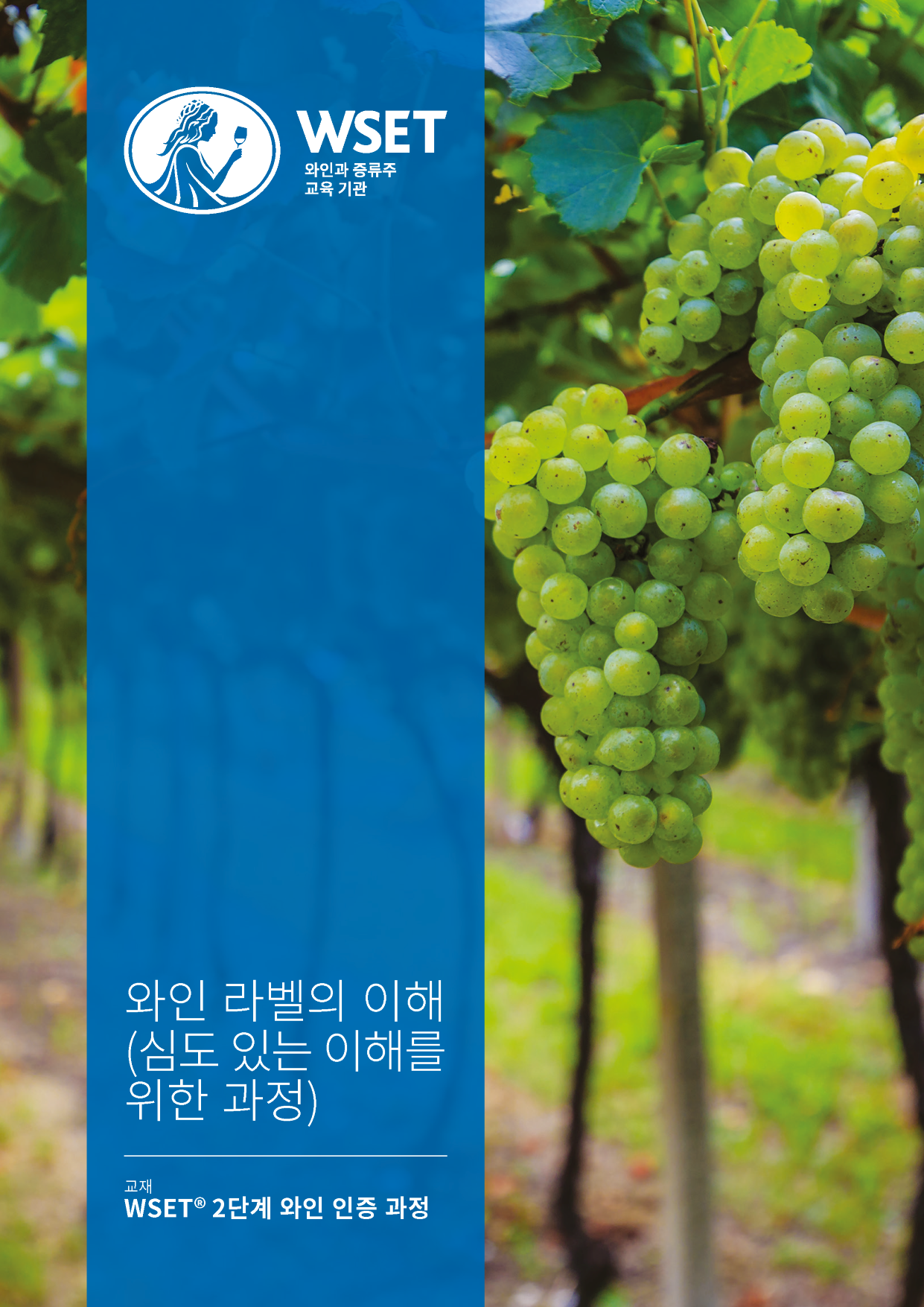 語学・辞書・学習参考書 WSET level2 looking behind the label Level 2 Award in Wines: Looking behind the label (Issue 2