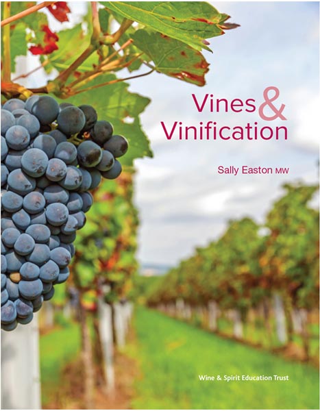 Vines and Vinification